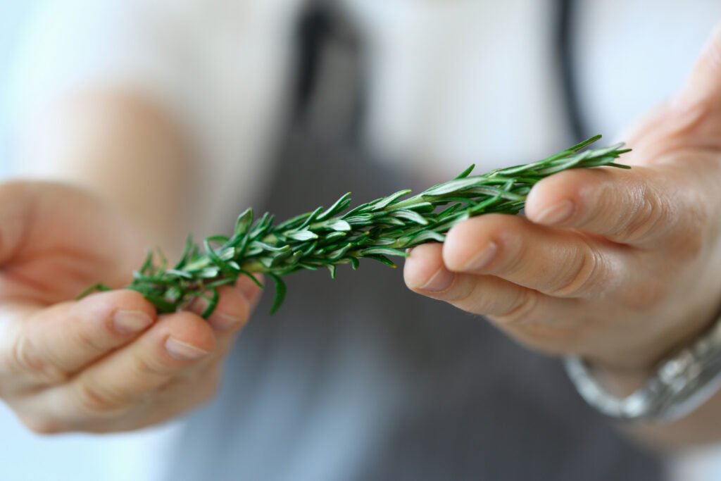 Rosemary Infusion for Dandruff in Curly Hair