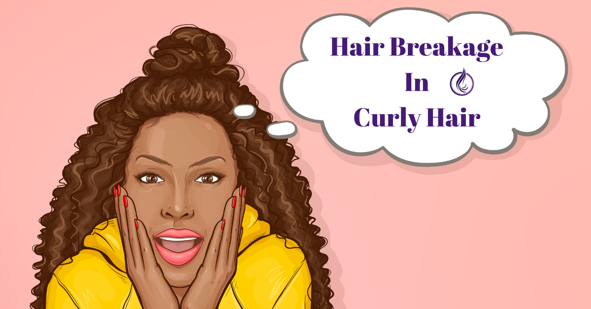 hair breakage in curly hair